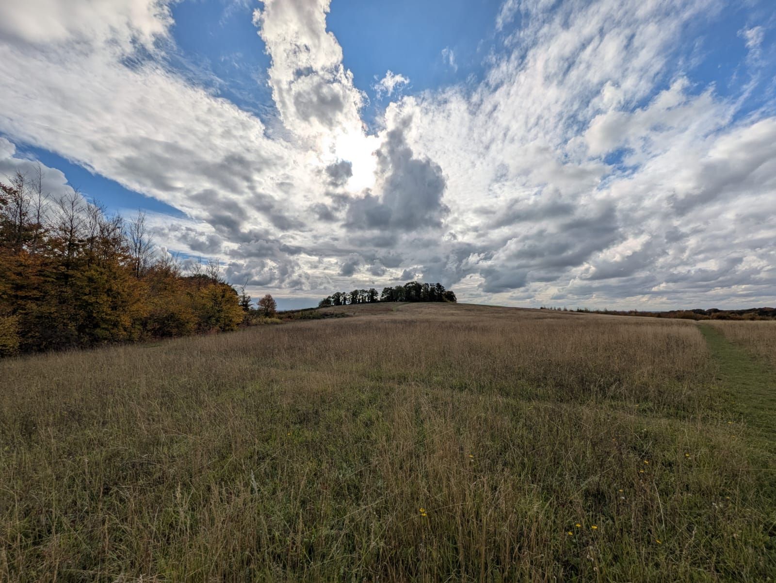Magog Down